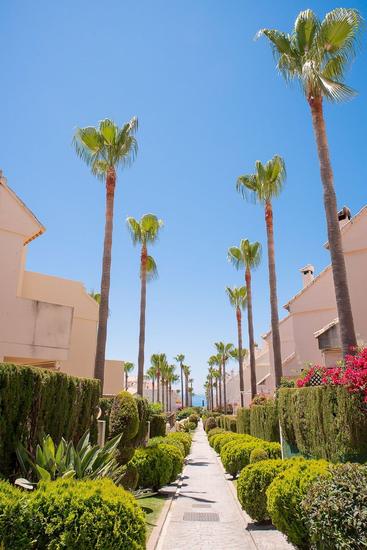Oleholidays Cervantes * Marbella